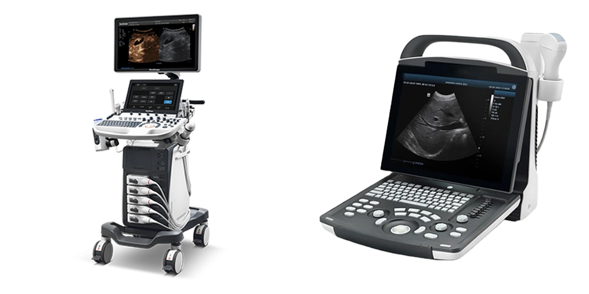 Medical Display for ultrasound imaging system applications